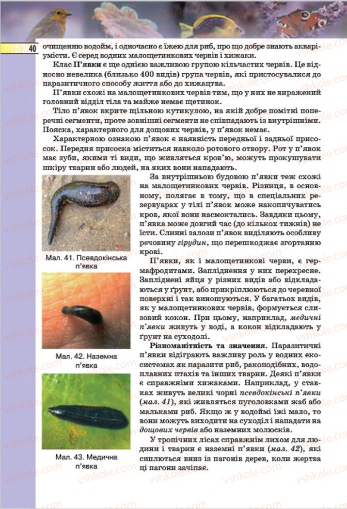 Страница 40 | Підручник Біологія 7 клас І.Ю. Костіков, С.О. Волгін, В.В. Додь 2015