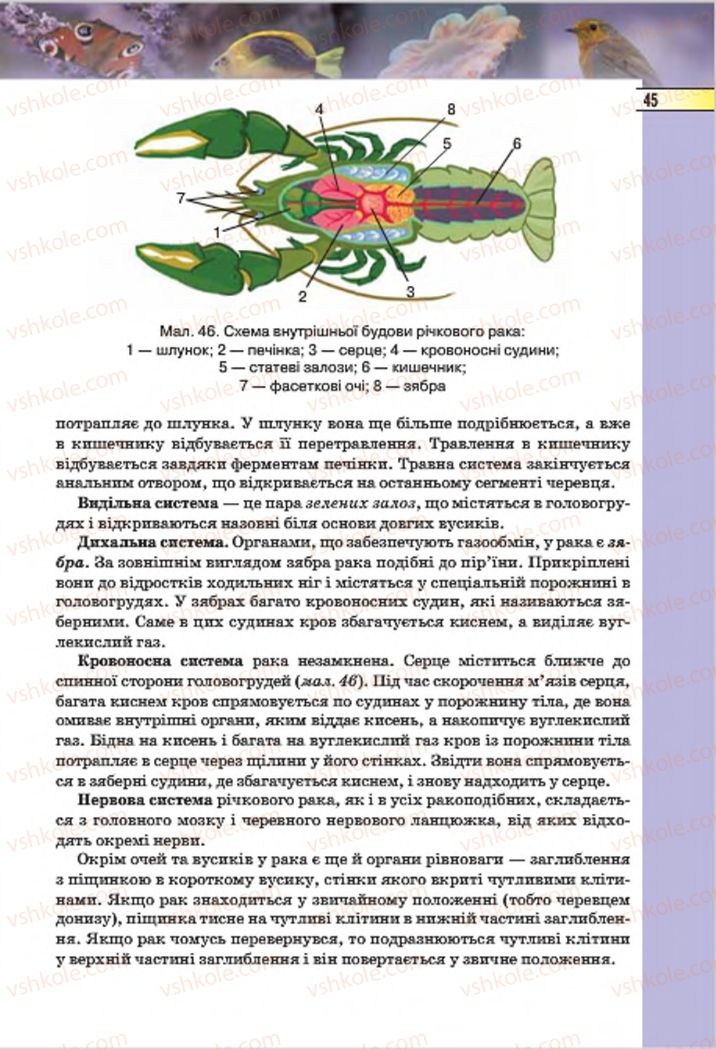 Страница 45 | Підручник Біологія 7 клас І.Ю. Костіков, С.О. Волгін, В.В. Додь 2015