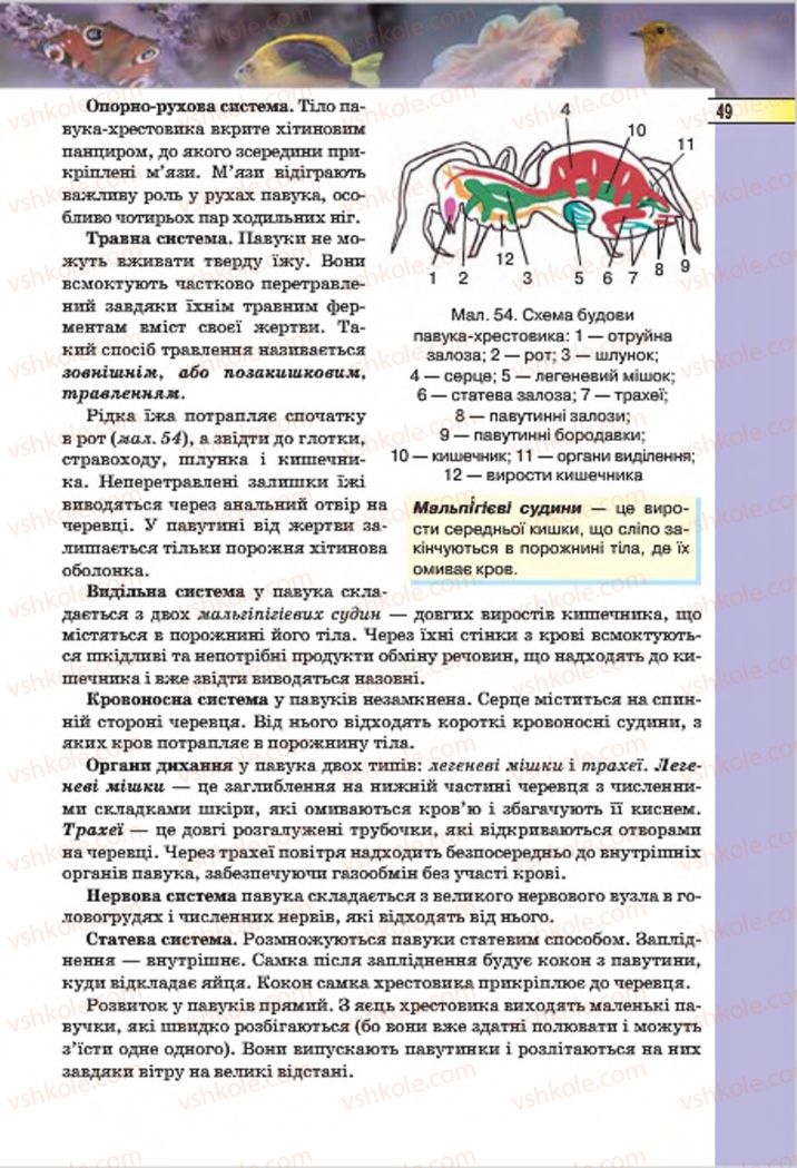 Страница 49 | Підручник Біологія 7 клас І.Ю. Костіков, С.О. Волгін, В.В. Додь 2015