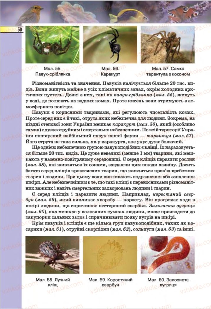 Страница 50 | Підручник Біологія 7 клас І.Ю. Костіков, С.О. Волгін, В.В. Додь 2015