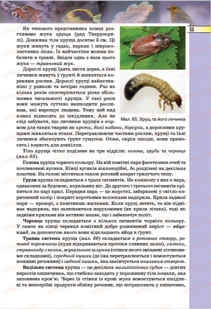 Страница 53 | Підручник Біологія 7 клас І.Ю. Костіков, С.О. Волгін, В.В. Додь 2015