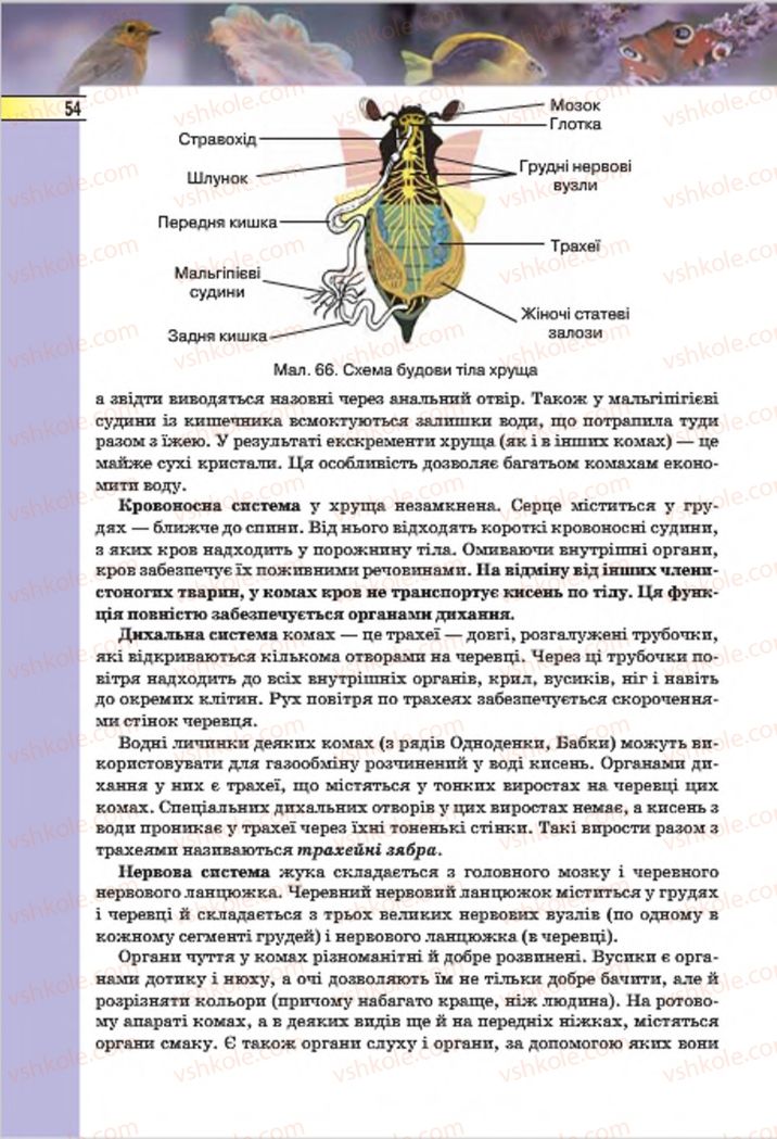 Страница 54 | Підручник Біологія 7 клас І.Ю. Костіков, С.О. Волгін, В.В. Додь 2015