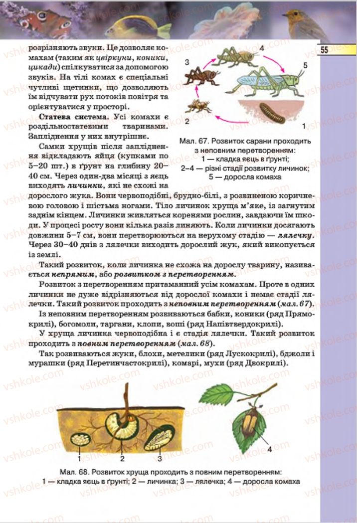 Страница 55 | Підручник Біологія 7 клас І.Ю. Костіков, С.О. Волгін, В.В. Додь 2015