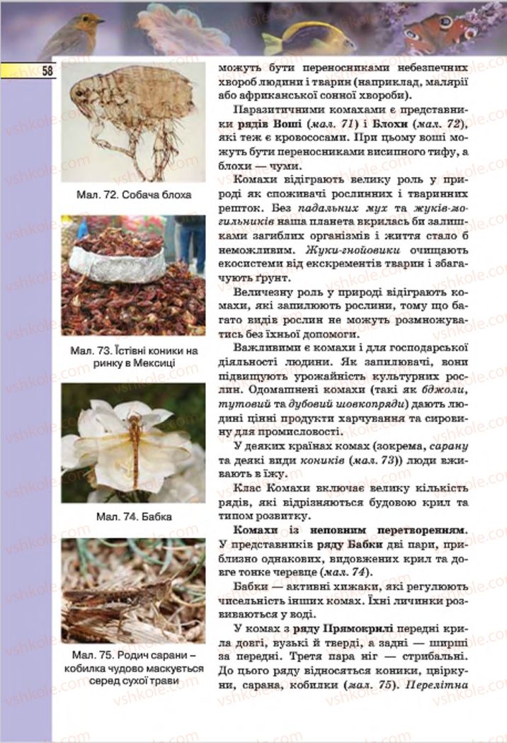 Страница 58 | Підручник Біологія 7 клас І.Ю. Костіков, С.О. Волгін, В.В. Додь 2015