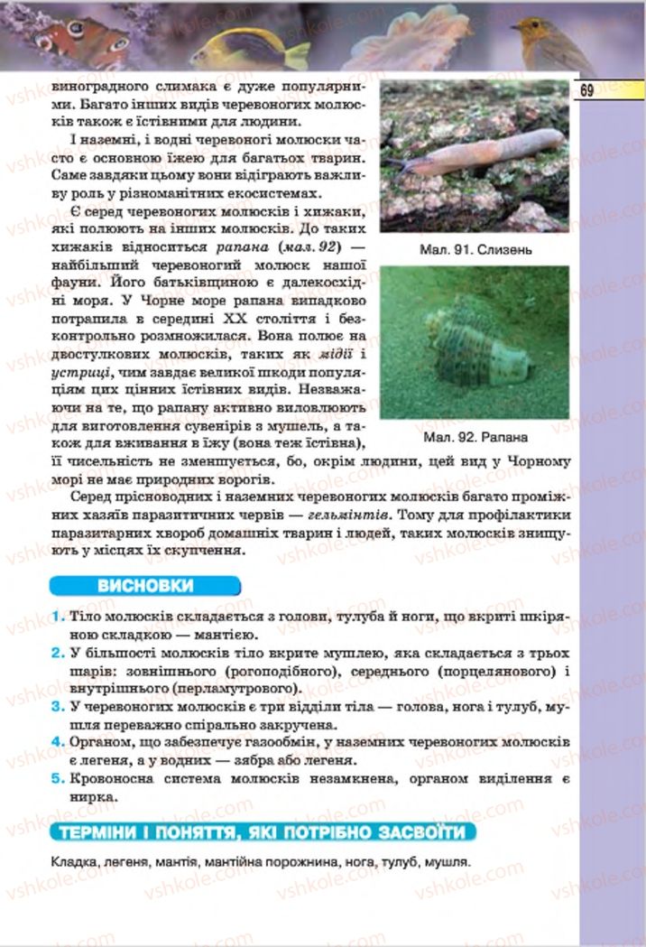 Страница 69 | Підручник Біологія 7 клас І.Ю. Костіков, С.О. Волгін, В.В. Додь 2015