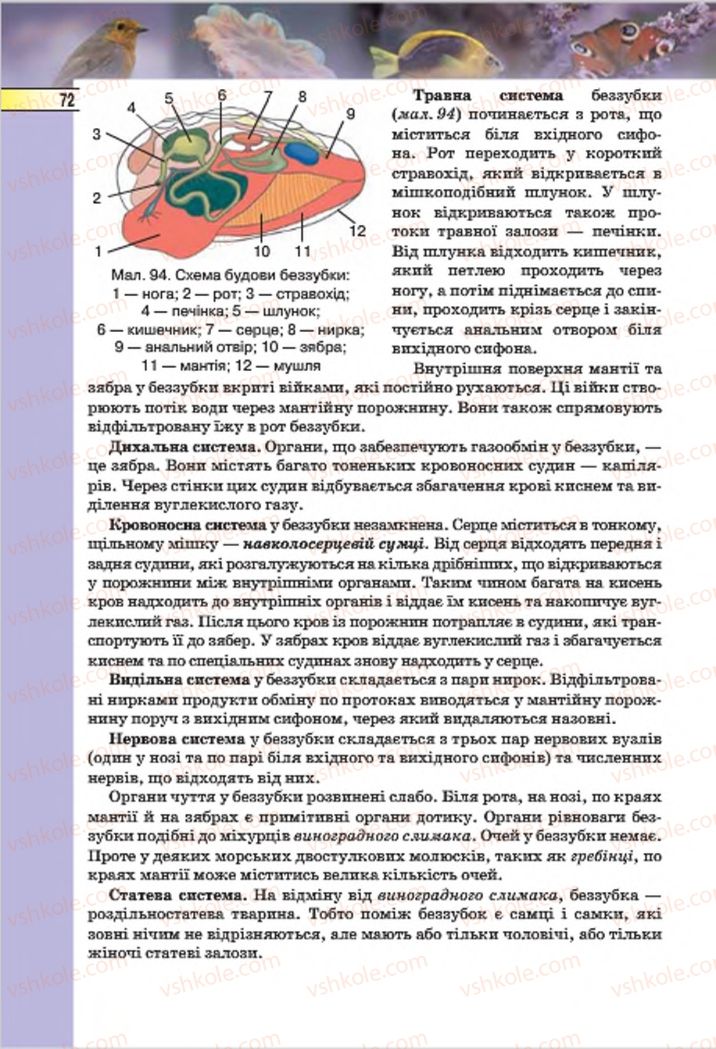 Страница 72 | Підручник Біологія 7 клас І.Ю. Костіков, С.О. Волгін, В.В. Додь 2015