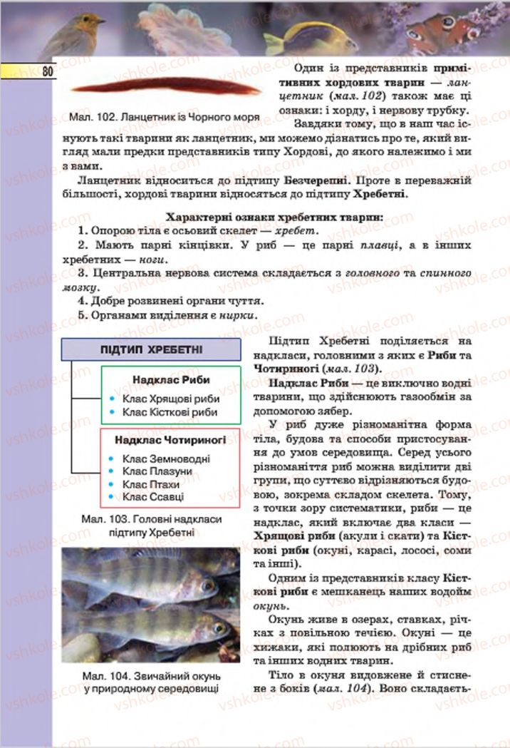Страница 80 | Підручник Біологія 7 клас І.Ю. Костіков, С.О. Волгін, В.В. Додь 2015