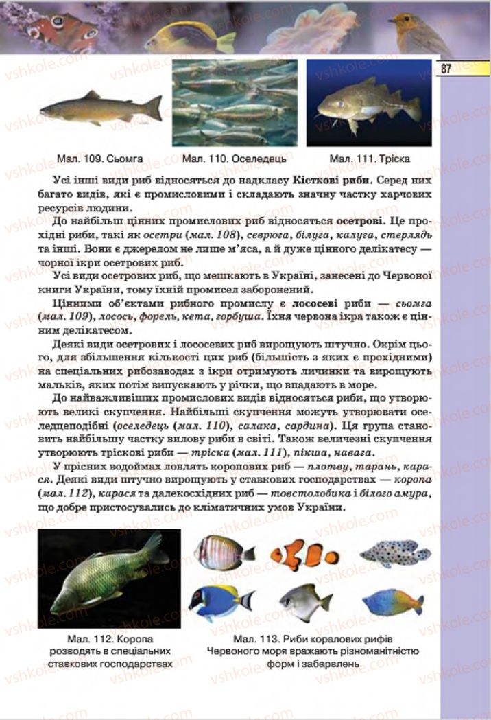 Страница 87 | Підручник Біологія 7 клас І.Ю. Костіков, С.О. Волгін, В.В. Додь 2015