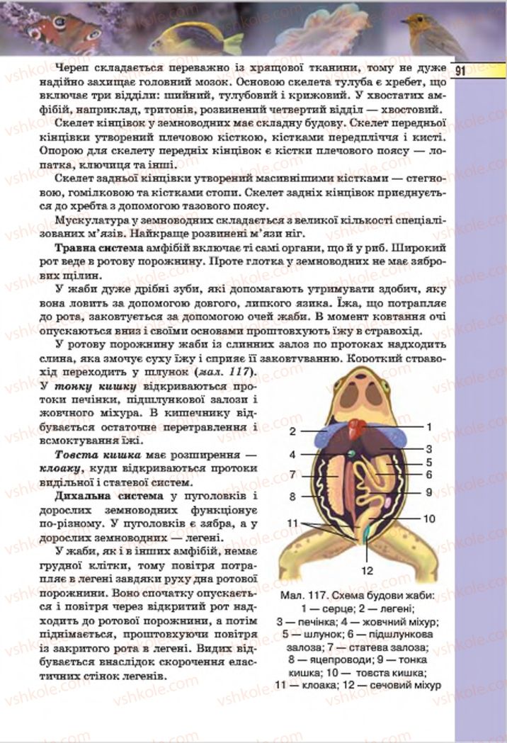 Страница 91 | Підручник Біологія 7 клас І.Ю. Костіков, С.О. Волгін, В.В. Додь 2015