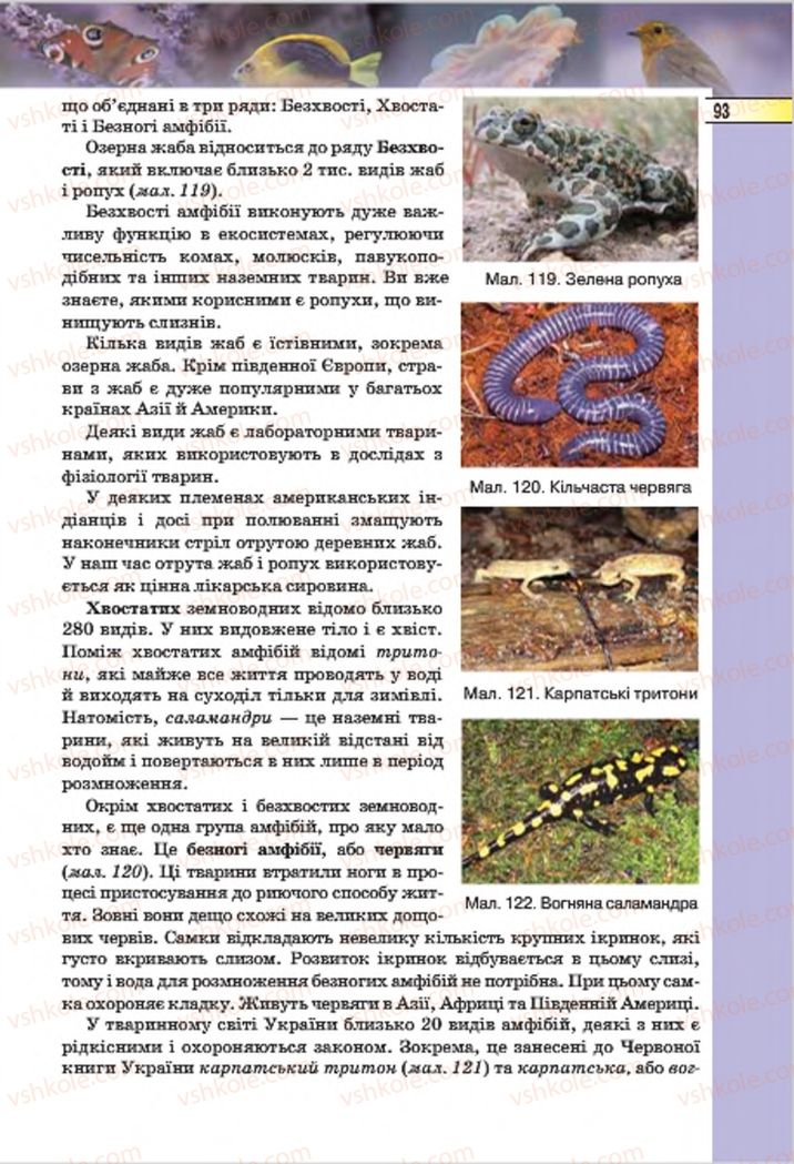 Страница 93 | Підручник Біологія 7 клас І.Ю. Костіков, С.О. Волгін, В.В. Додь 2015