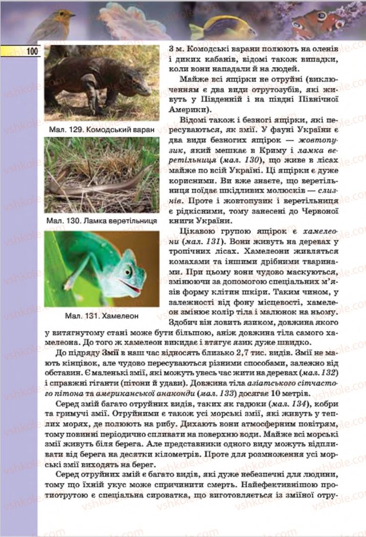 Страница 100 | Підручник Біологія 7 клас І.Ю. Костіков, С.О. Волгін, В.В. Додь 2015