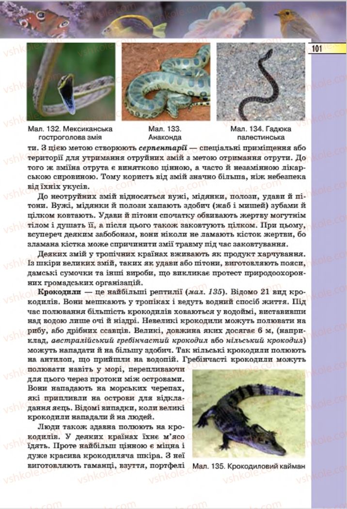 Страница 101 | Підручник Біологія 7 клас І.Ю. Костіков, С.О. Волгін, В.В. Додь 2015