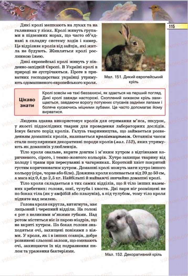 Страница 115 | Підручник Біологія 7 клас І.Ю. Костіков, С.О. Волгін, В.В. Додь 2015