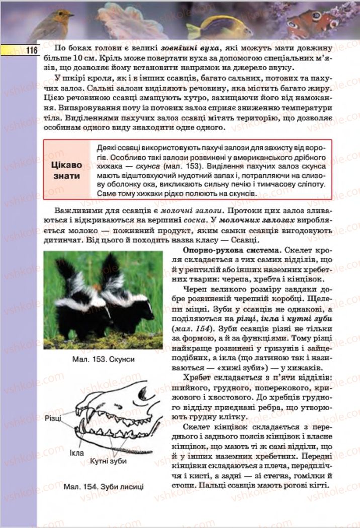 Страница 116 | Підручник Біологія 7 клас І.Ю. Костіков, С.О. Волгін, В.В. Додь 2015