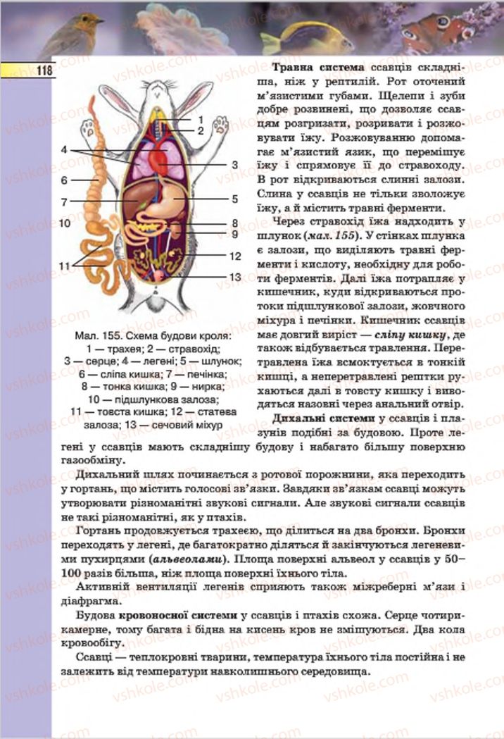 Страница 118 | Підручник Біологія 7 клас І.Ю. Костіков, С.О. Волгін, В.В. Додь 2015