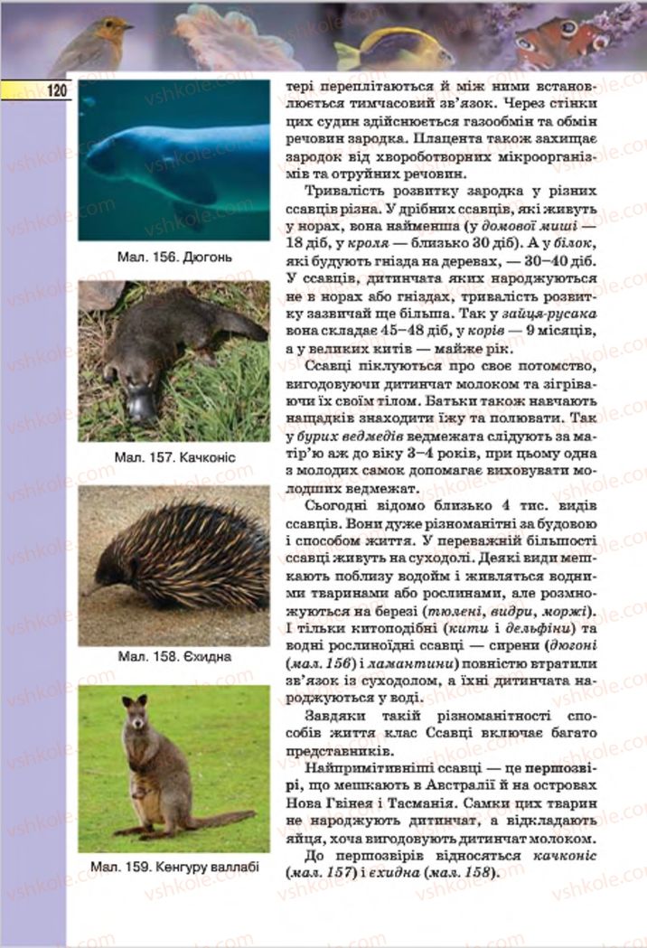 Страница 120 | Підручник Біологія 7 клас І.Ю. Костіков, С.О. Волгін, В.В. Додь 2015