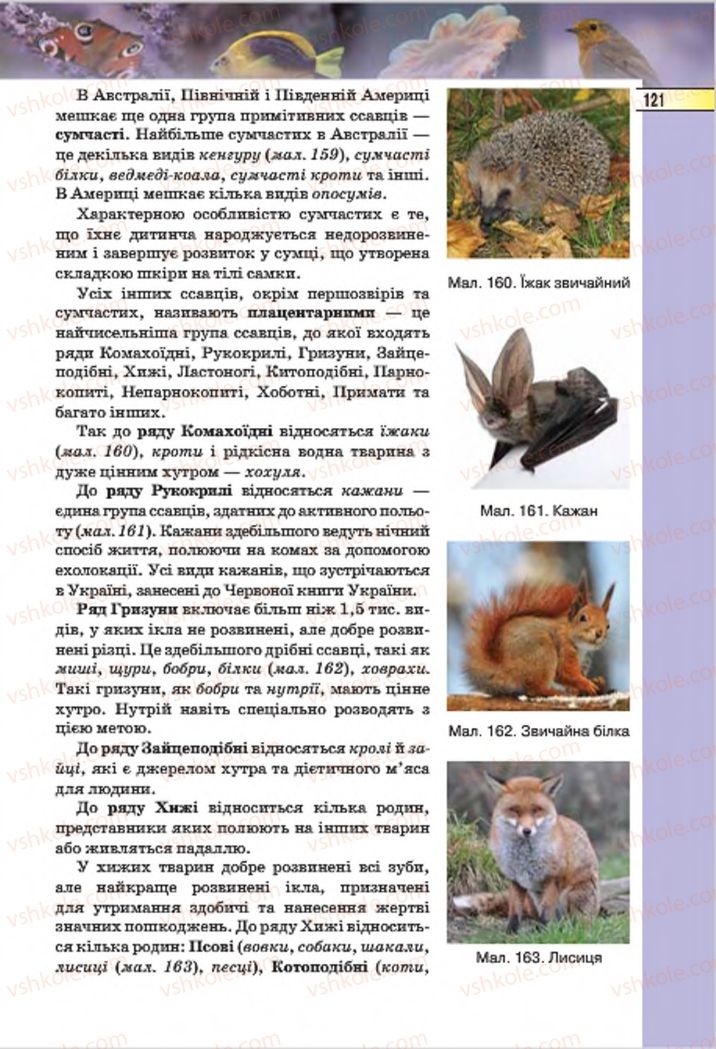 Страница 121 | Підручник Біологія 7 клас І.Ю. Костіков, С.О. Волгін, В.В. Додь 2015
