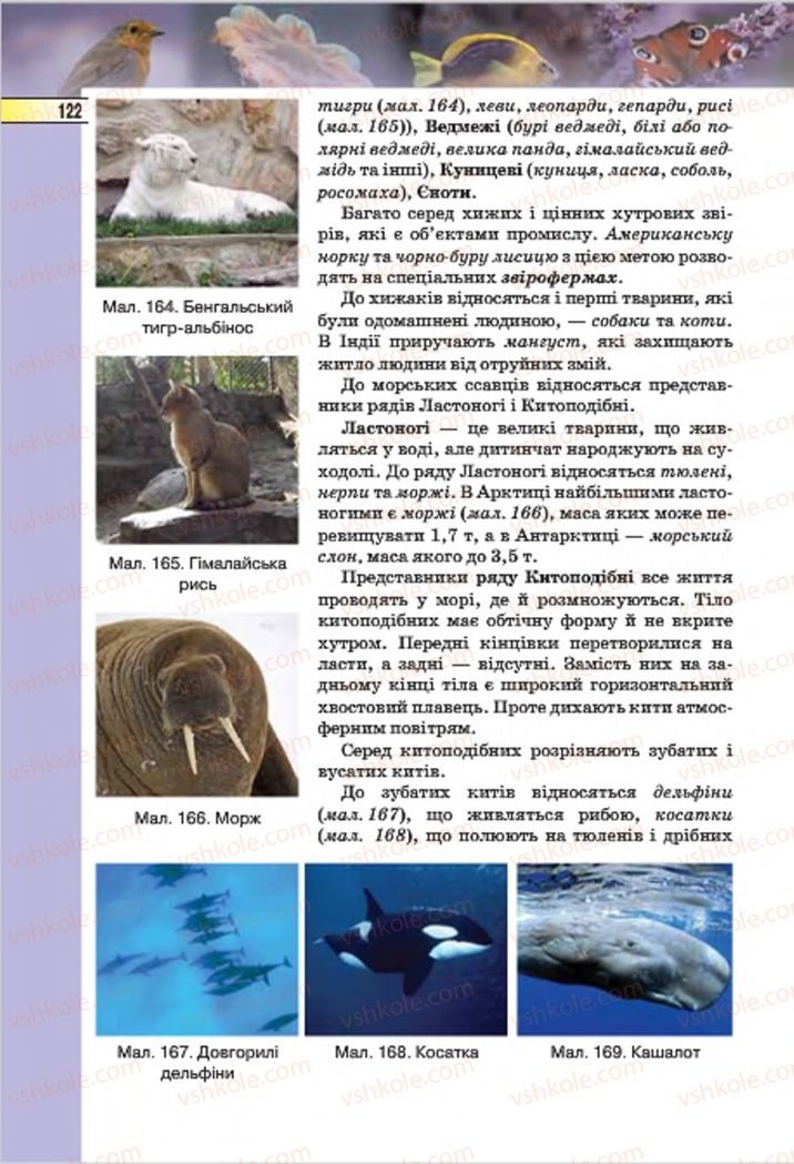 Страница 122 | Підручник Біологія 7 клас І.Ю. Костіков, С.О. Волгін, В.В. Додь 2015