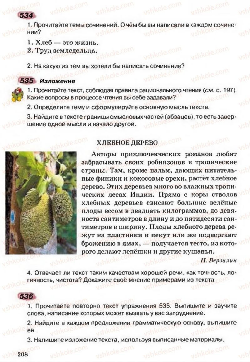 Страница 208 | Підручник Русский язык 5 клас А.Н. Рудяков, Т.Я. Фролова 2013