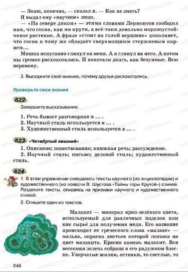 Страница 246 | Підручник Русский язык 5 клас А.Н. Рудяков, Т.Я. Фролова 2013