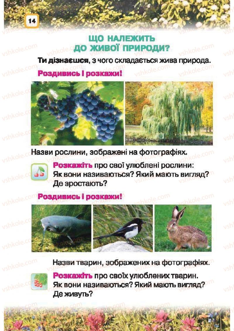 Страница 14 | Підручник Природознавство 1 клас І.В. Грущинська 2010