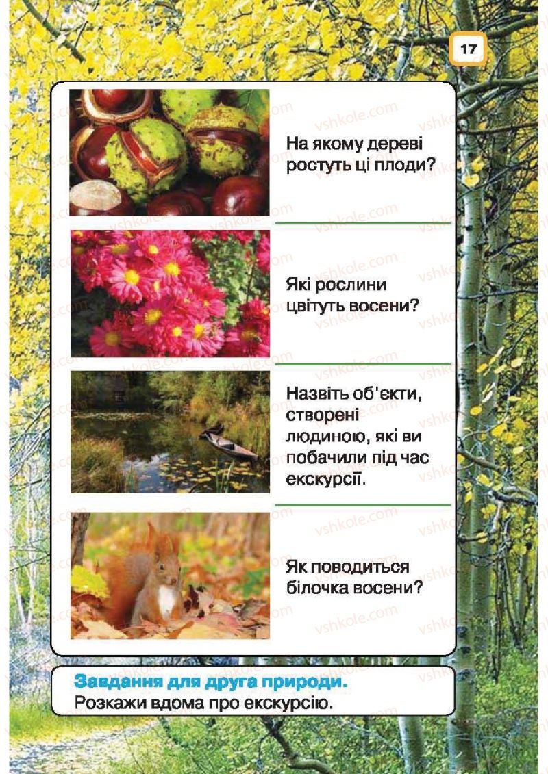 Страница 17 | Підручник Природознавство 1 клас І.В. Грущинська 2010