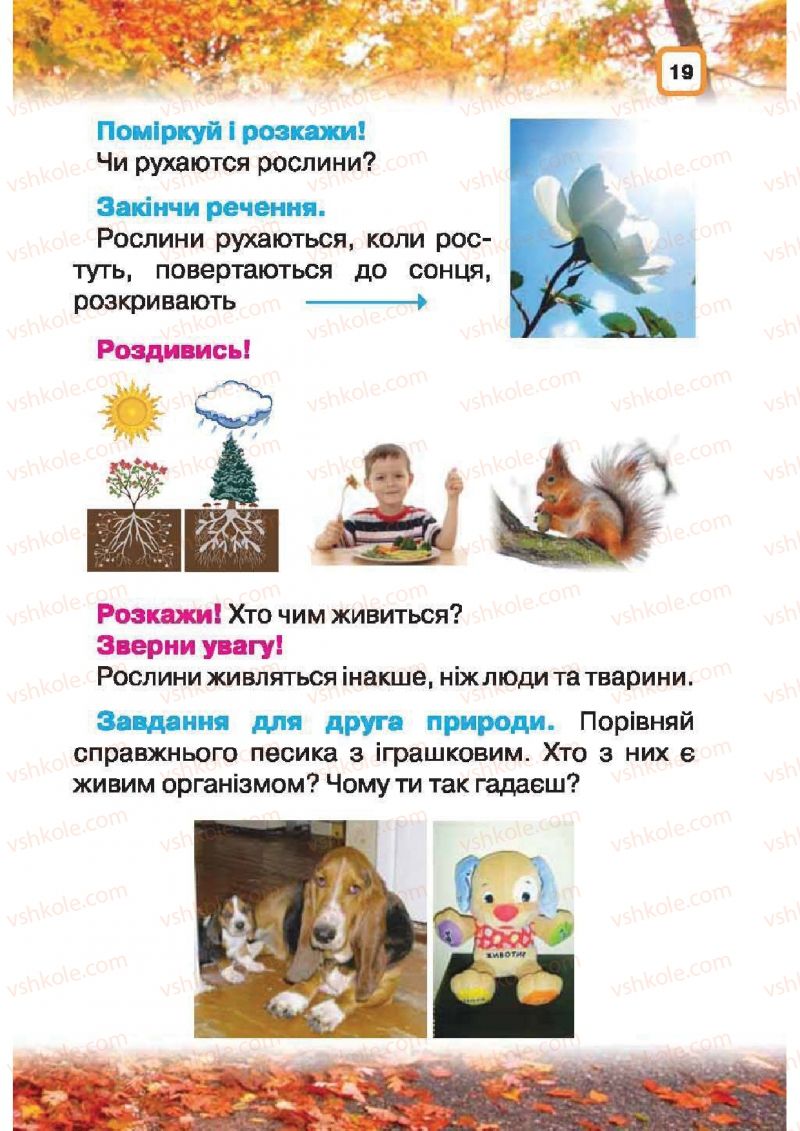Страница 19 | Підручник Природознавство 1 клас І.В. Грущинська 2010