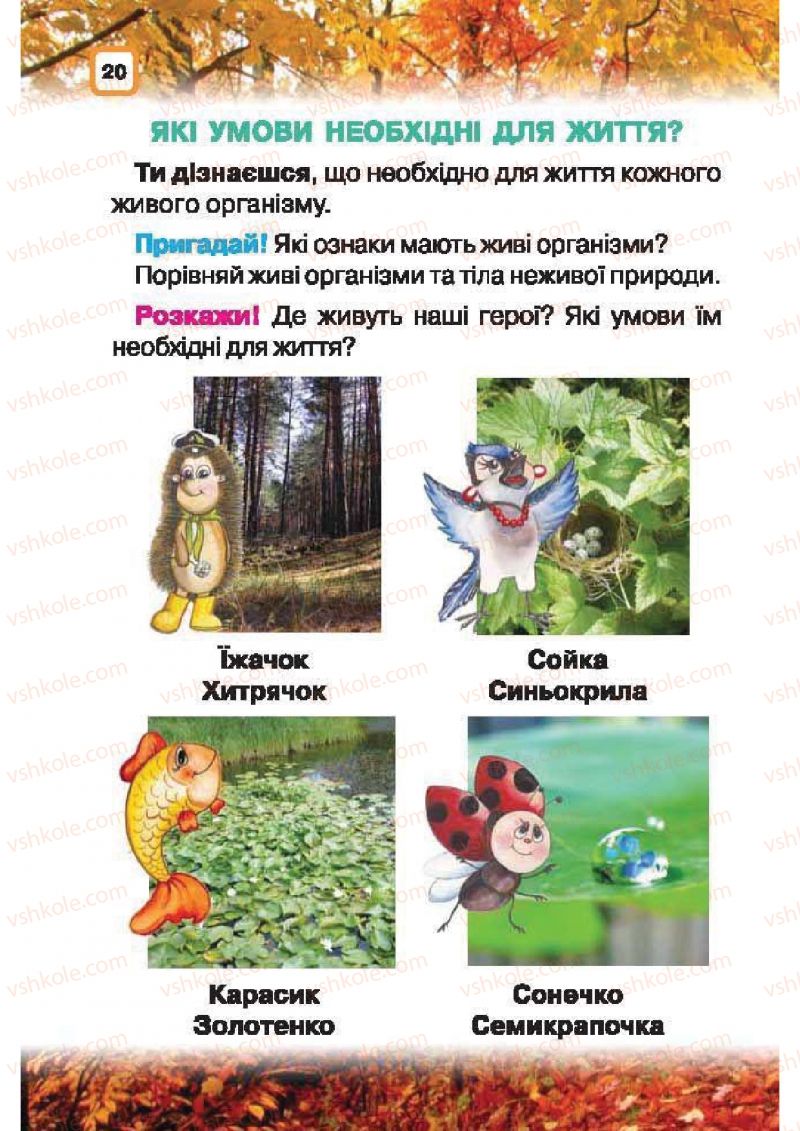 Страница 20 | Підручник Природознавство 1 клас І.В. Грущинська 2010