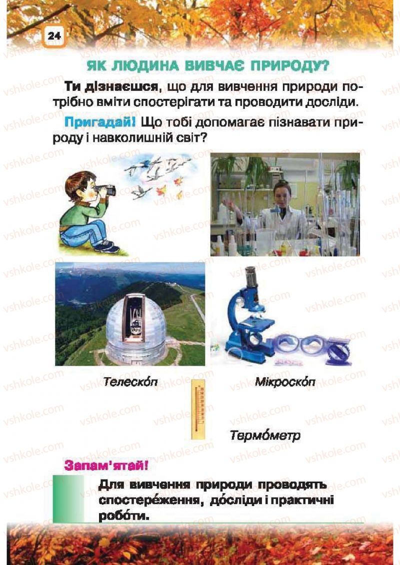 Страница 24 | Підручник Природознавство 1 клас І.В. Грущинська 2010
