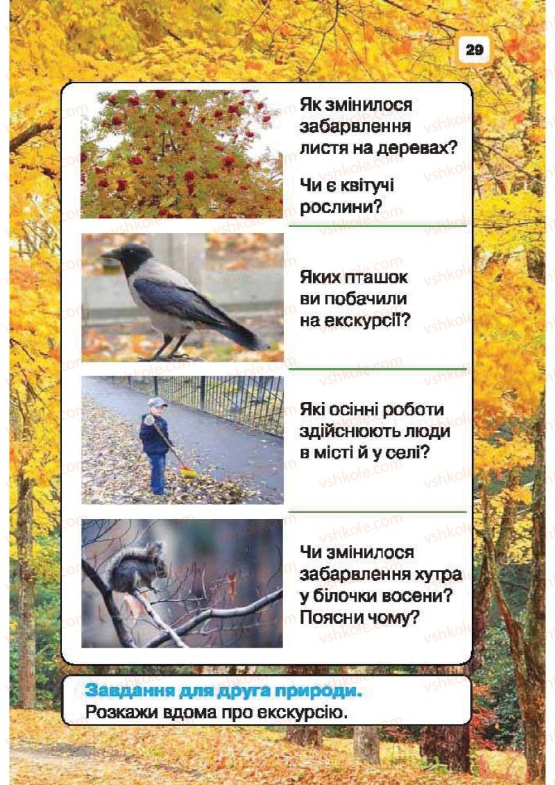 Страница 29 | Підручник Природознавство 1 клас І.В. Грущинська 2010