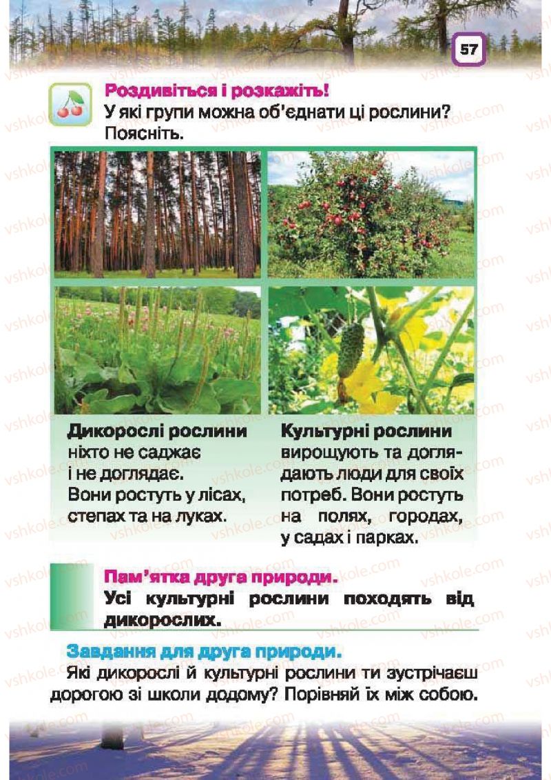 Страница 57 | Підручник Природознавство 1 клас І.В. Грущинська 2010