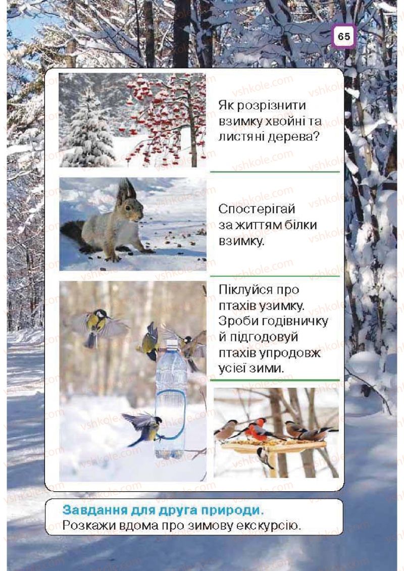 Страница 65 | Підручник Природознавство 1 клас І.В. Грущинська 2010