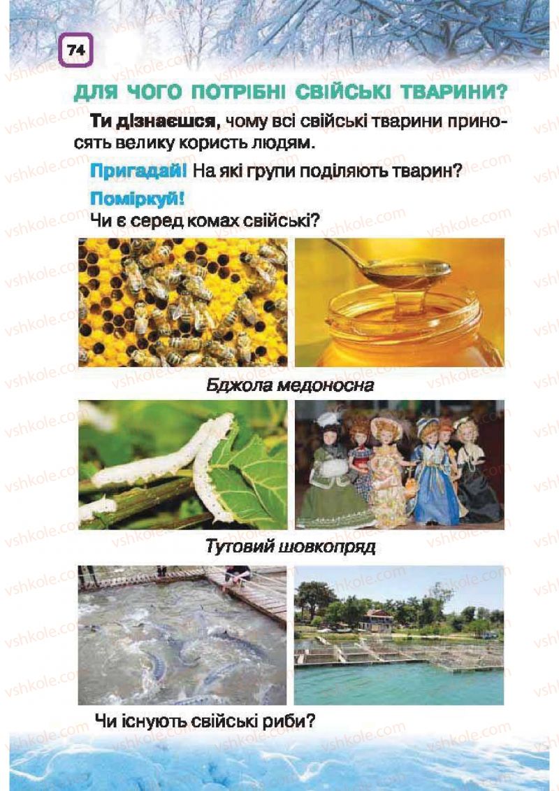 Страница 74 | Підручник Природознавство 1 клас І.В. Грущинська 2010