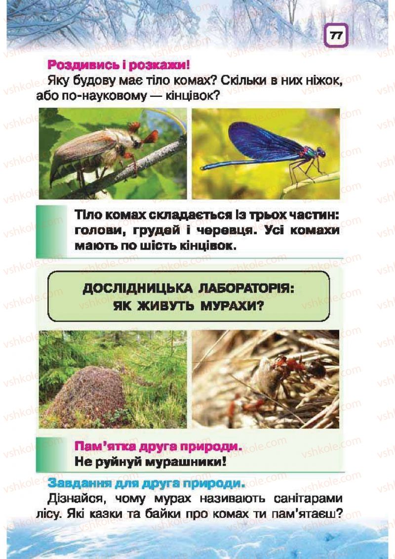Страница 77 | Підручник Природознавство 1 клас І.В. Грущинська 2010