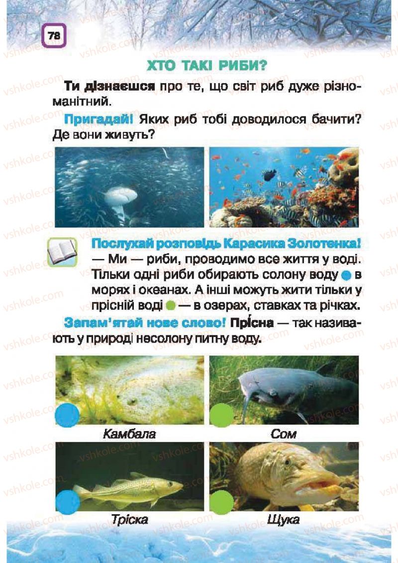 Страница 78 | Підручник Природознавство 1 клас І.В. Грущинська 2010