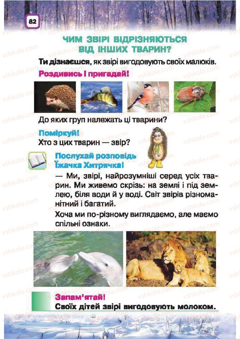 Страница 82 | Підручник Природознавство 1 клас І.В. Грущинська 2010