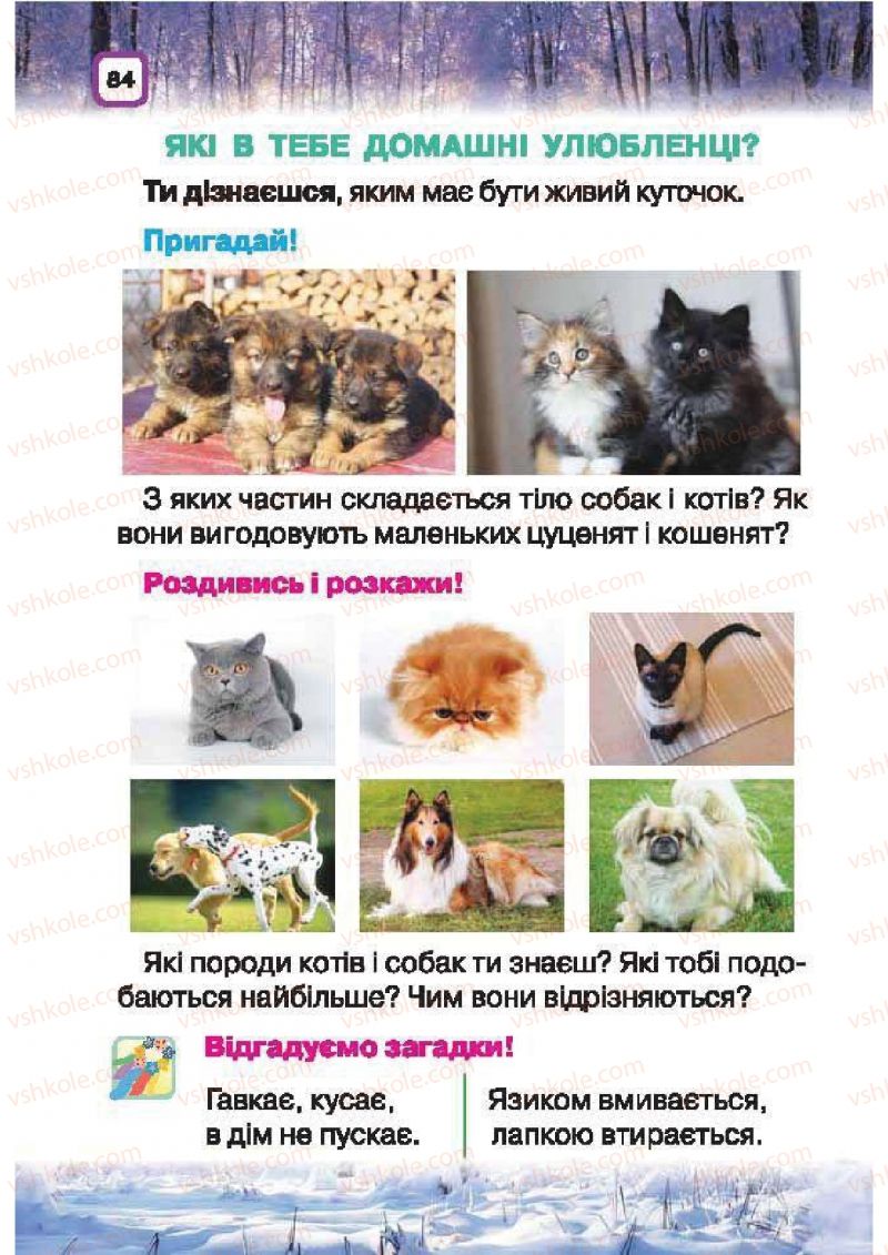 Страница 84 | Підручник Природознавство 1 клас І.В. Грущинська 2010