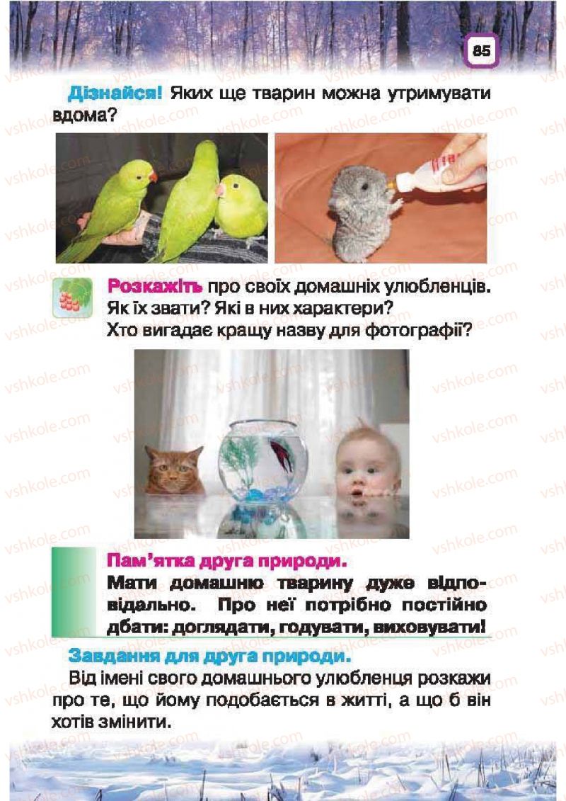 Страница 85 | Підручник Природознавство 1 клас І.В. Грущинська 2010