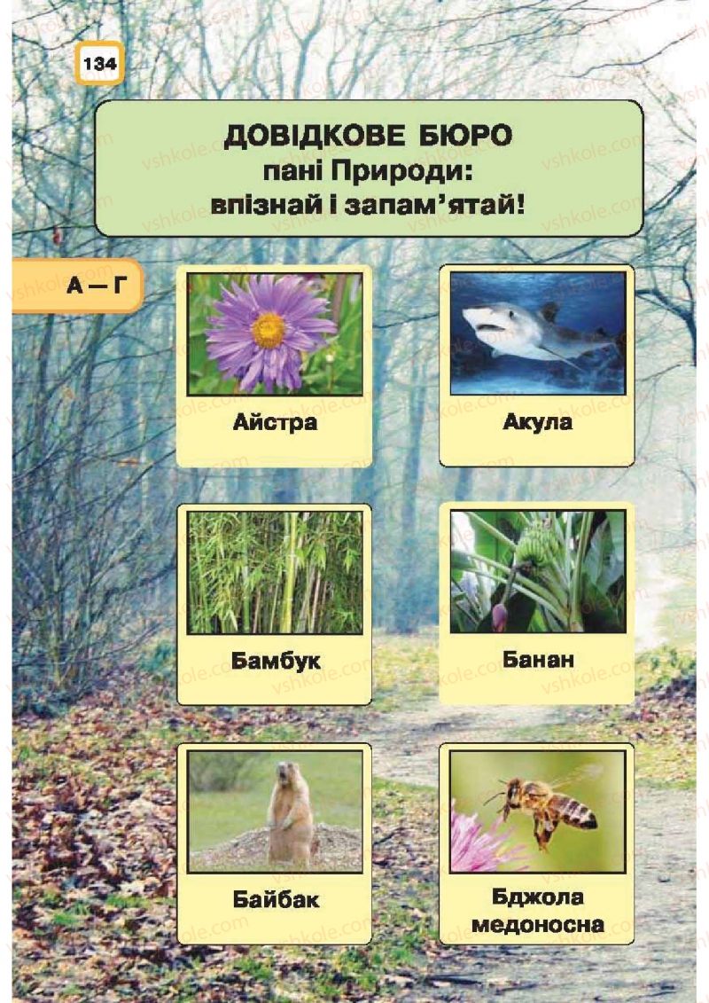 Страница 134 | Підручник Природознавство 1 клас І.В. Грущинська 2010