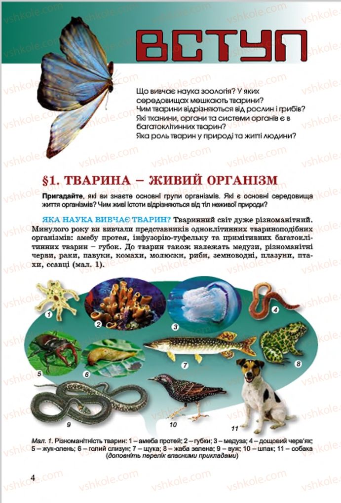 Страница 4 | Підручник Біологія 7 клас  Л.І. Остапченко, П.Г. Балан, В.В. Серебряков 2015