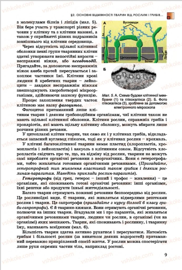 Страница 9 | Підручник Біологія 7 клас  Л.І. Остапченко, П.Г. Балан, В.В. Серебряков 2015