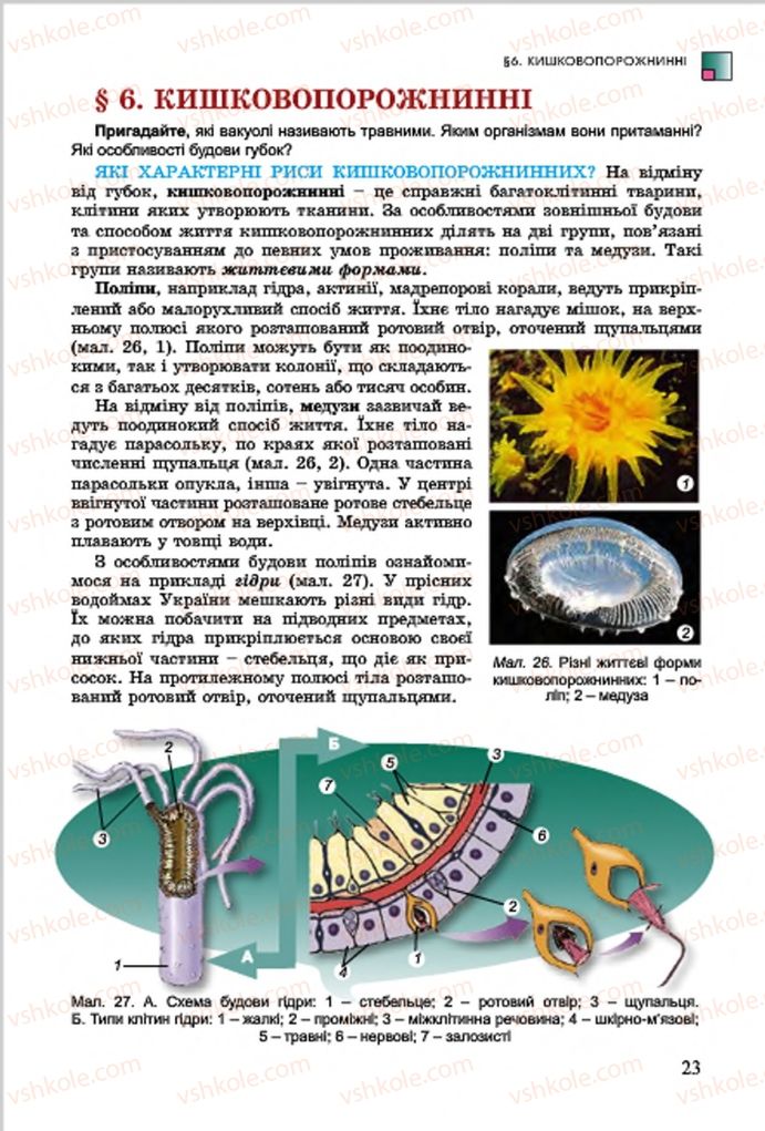 Страница 23 | Підручник Біологія 7 клас  Л.І. Остапченко, П.Г. Балан, В.В. Серебряков 2015