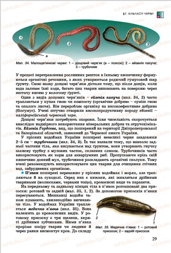 Страница 29 | Підручник Біологія 7 клас  Л.І. Остапченко, П.Г. Балан, В.В. Серебряков 2015