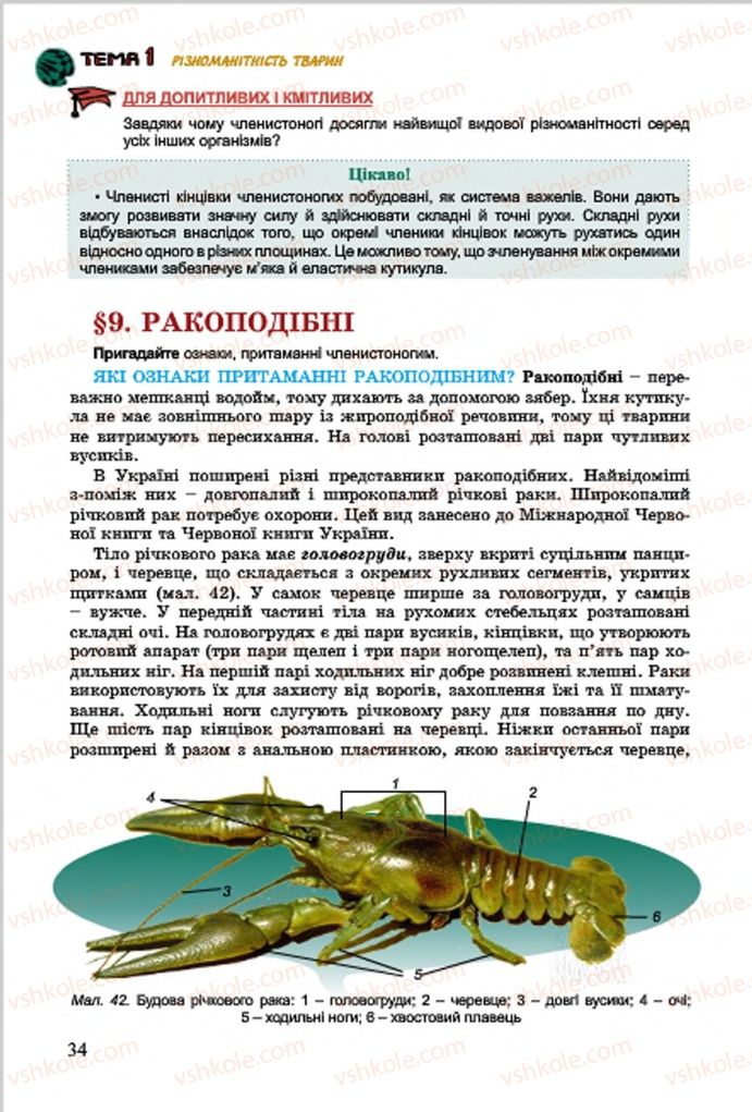 Страница 34 | Підручник Біологія 7 клас  Л.І. Остапченко, П.Г. Балан, В.В. Серебряков 2015