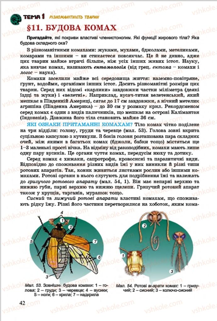 Страница 42 | Підручник Біологія 7 клас  Л.І. Остапченко, П.Г. Балан, В.В. Серебряков 2015