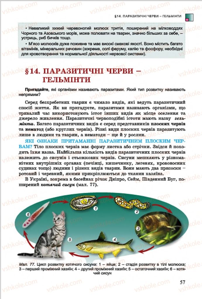Страница 57 | Підручник Біологія 7 клас  Л.І. Остапченко, П.Г. Балан, В.В. Серебряков 2015