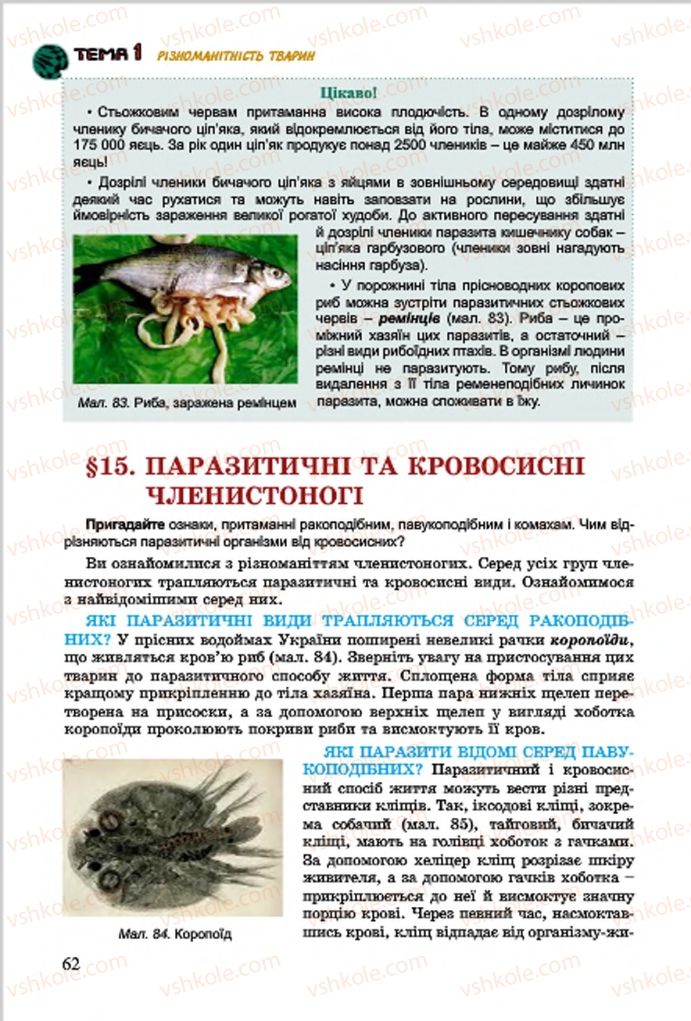 Страница 62 | Підручник Біологія 7 клас  Л.І. Остапченко, П.Г. Балан, В.В. Серебряков 2015