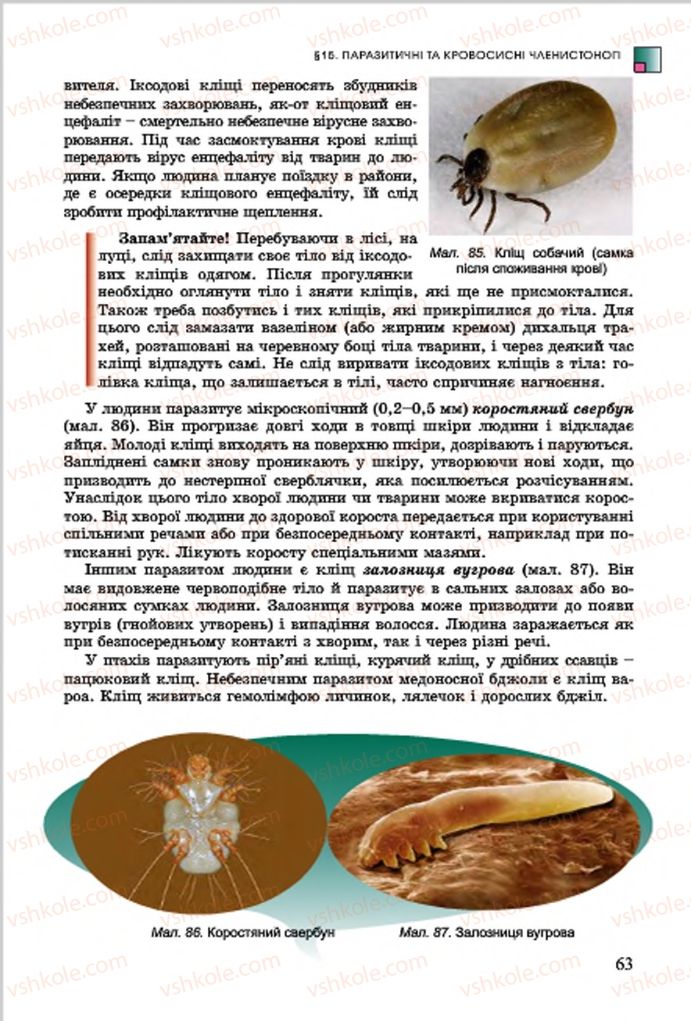 Страница 63 | Підручник Біологія 7 клас  Л.І. Остапченко, П.Г. Балан, В.В. Серебряков 2015