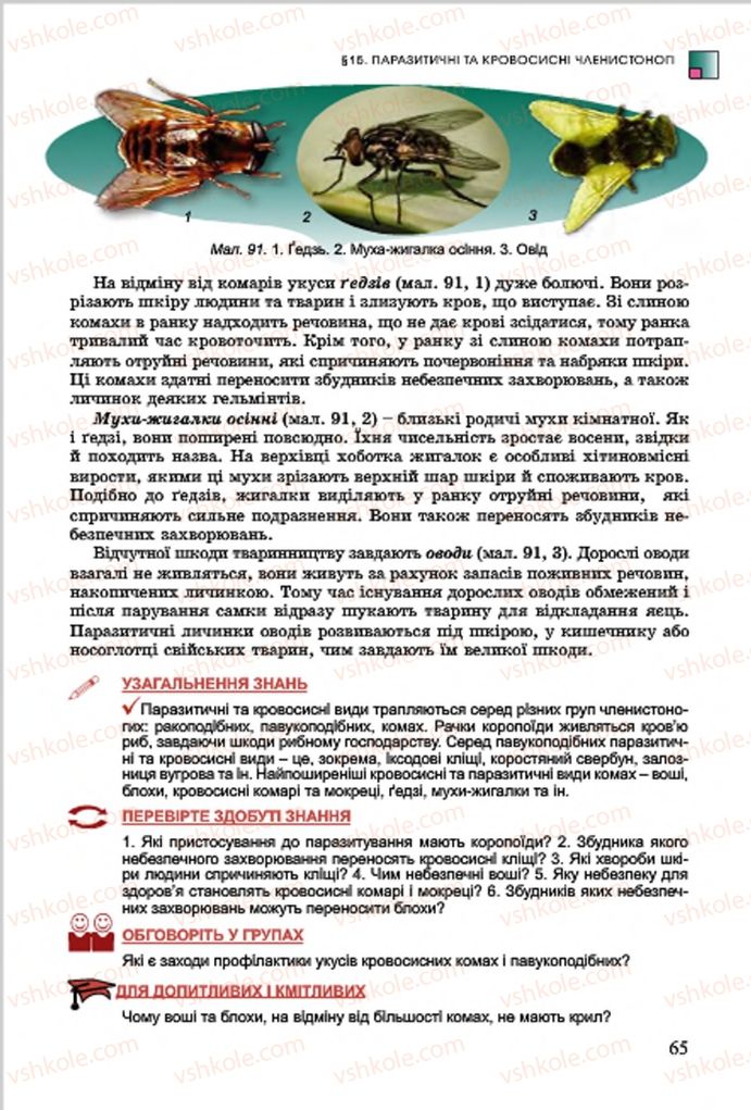 Страница 65 | Підручник Біологія 7 клас  Л.І. Остапченко, П.Г. Балан, В.В. Серебряков 2015