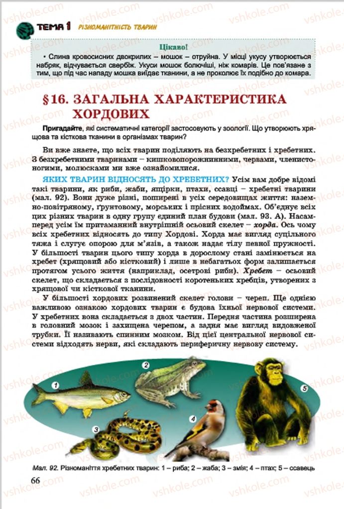 Страница 66 | Підручник Біологія 7 клас  Л.І. Остапченко, П.Г. Балан, В.В. Серебряков 2015